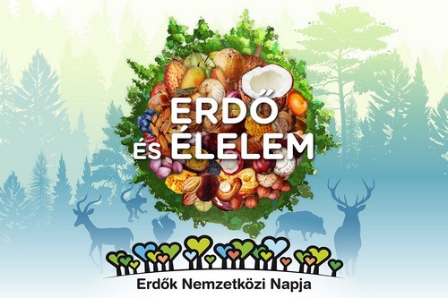 Erdk Nemzetkzi Napja